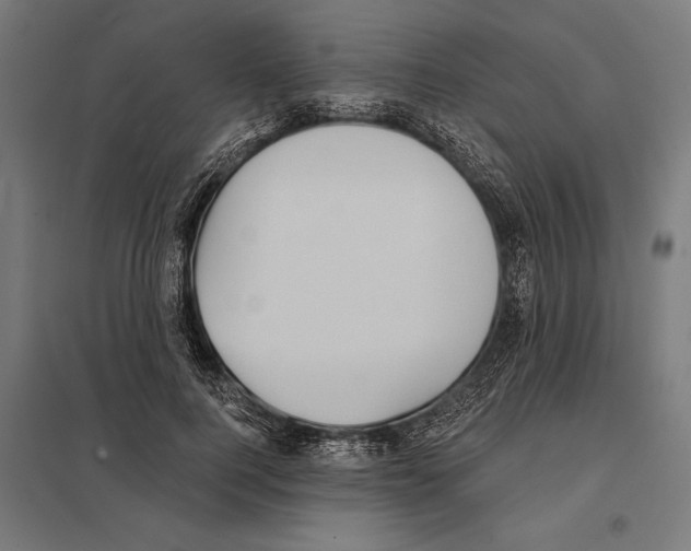 X0000097590744200803280927