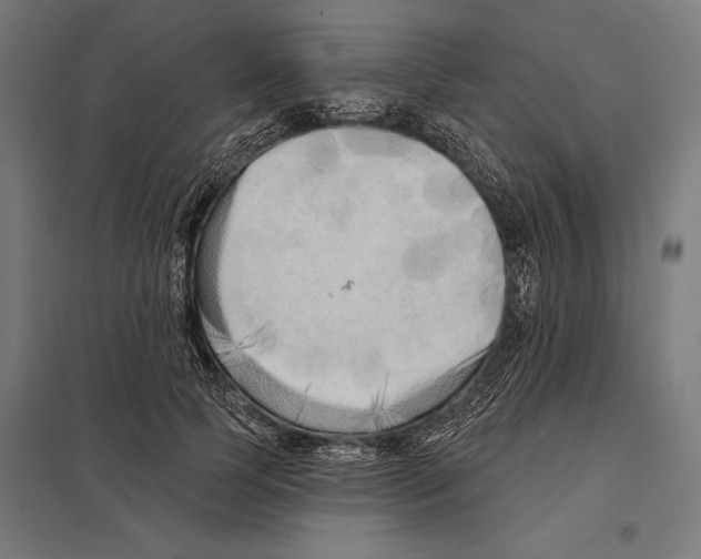 X0000097590745200803280927