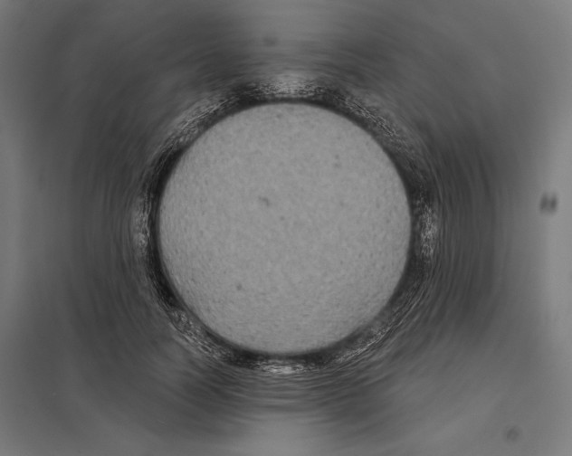 X0000097590746200803280927