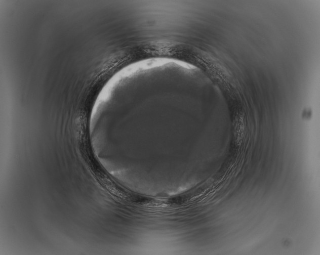 X0000097590747200803280927