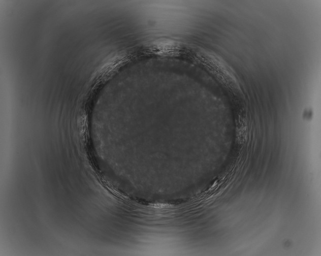 X0000097590748200803280927