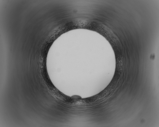 X0000097590750200803280927