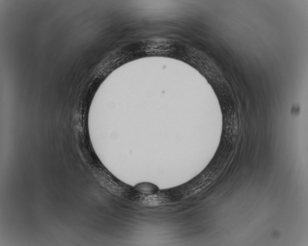 X0000097590755200803280927