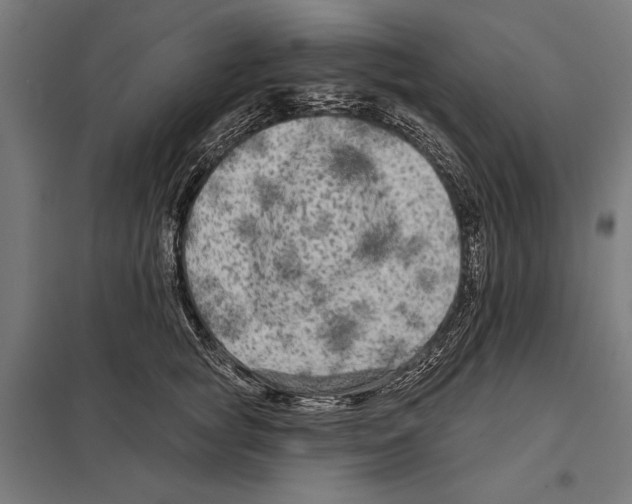 X0000097590757200803280927