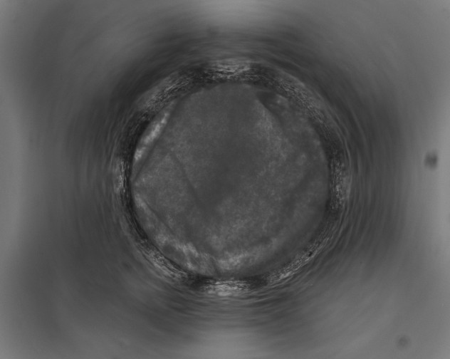 X0000097590758200803280927