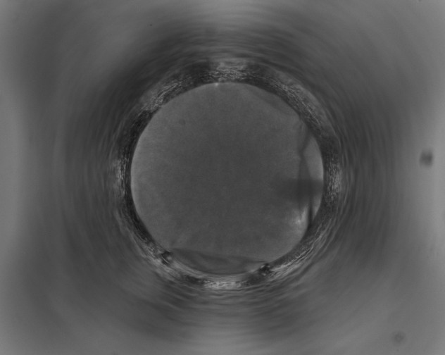 X0000097590759200803280927