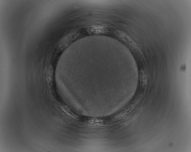 X0000097590760200803280927