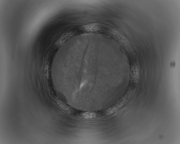 X0000097590762200803280927