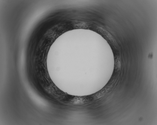 X0000097590764200803280927