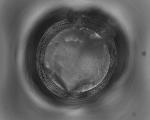 X0000097590765200803280927