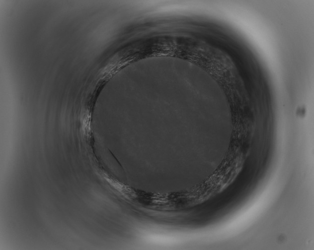 X0000097590766200803280927