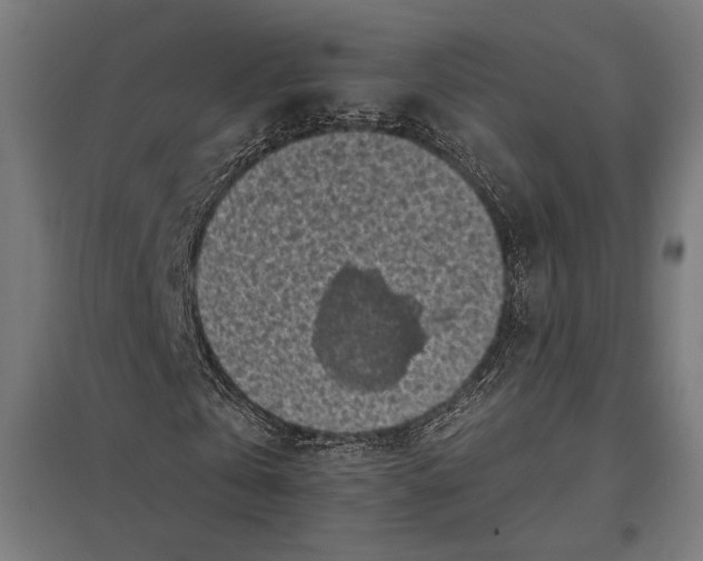 X0000097590769200803280926