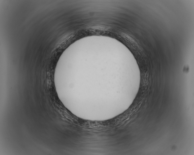 X0000097590774200803280926