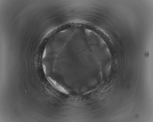 X0000097590775200803280926