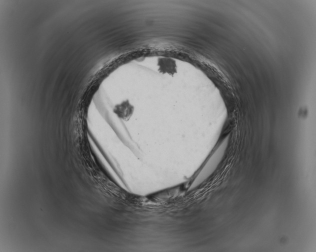 X0000097590776200803280926