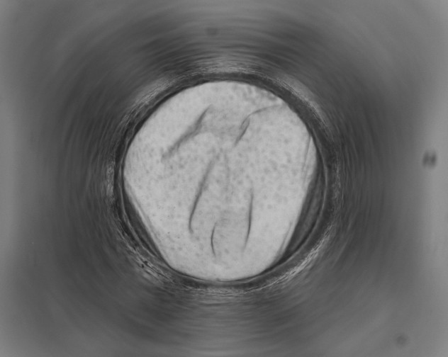 X0000097590777200803280926