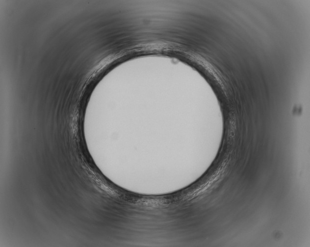 X0000097590778200803280926