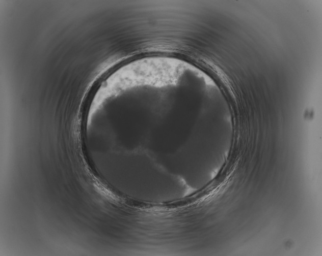 X0000097590779200803280926