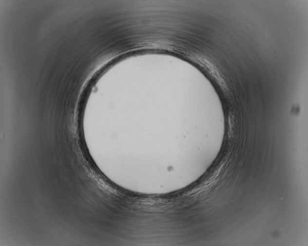 X0000097590780200803280926