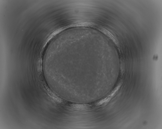 X0000097590781200803280926