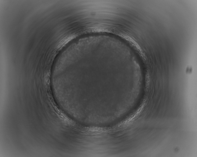 X0000097590785200803280926