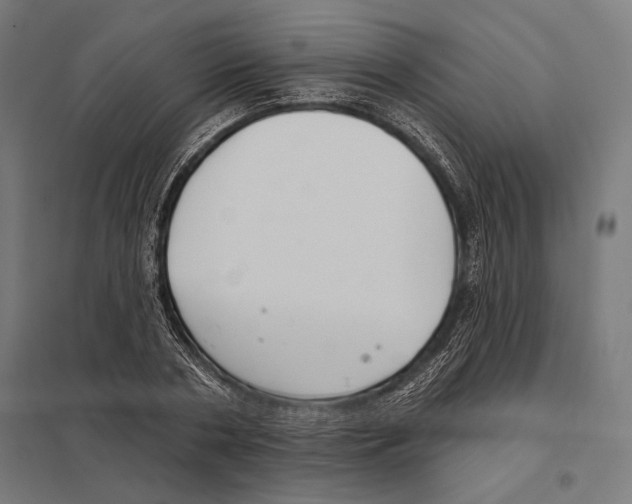 X0000097590786200803280926