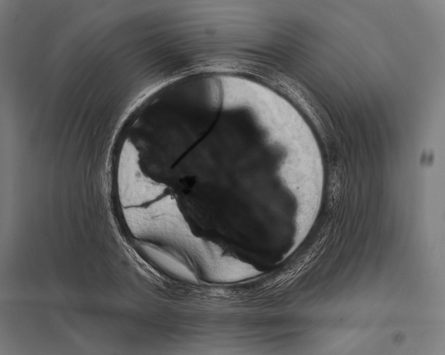 X0000097590787200803280926