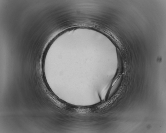 X0000097590788200803280926