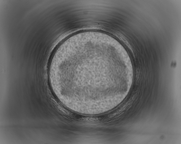 X0000097590789200803280926