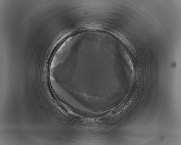 X0000097590790200803280926