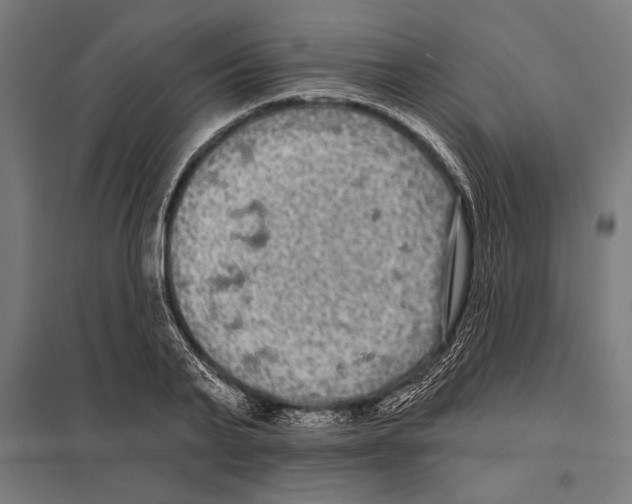 X0000097590791200803280926