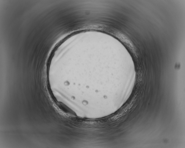 X0000097590792200803280926