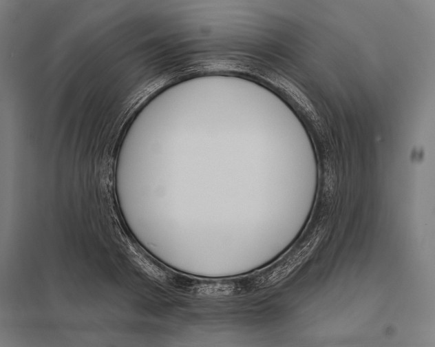 X0000097590793200803280926