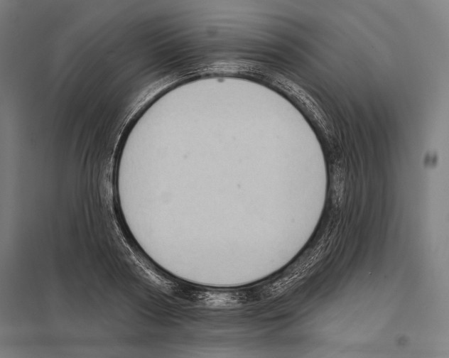 X0000097590794200803280926