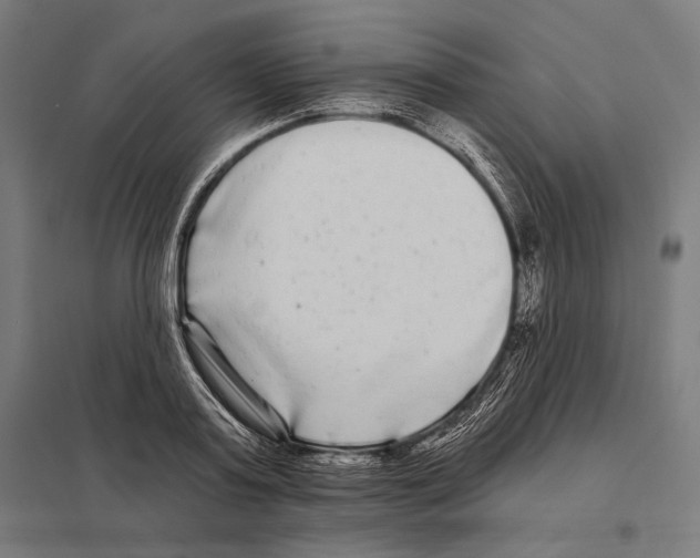 X0000097590795200803280926