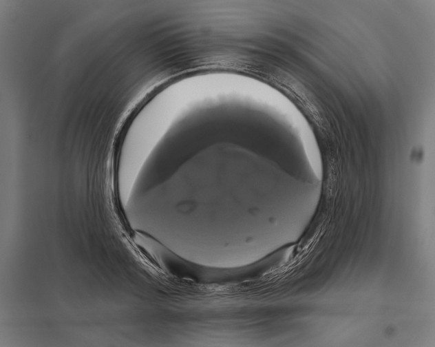 X0000097590796200803280926