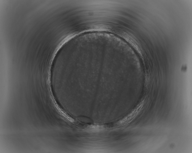 X0000097590797200803280926