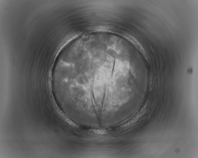 X0000097590798200803280926