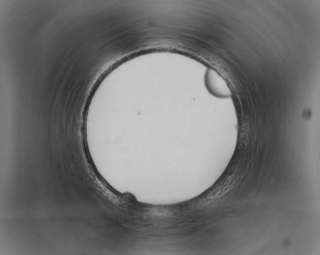 X0000097590799200803280926