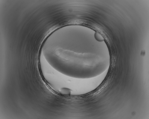 X0000097590802200803280926