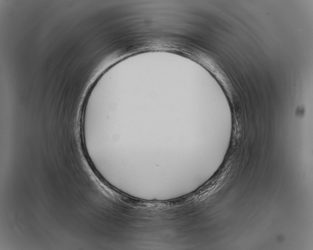 X0000097590803200803280926