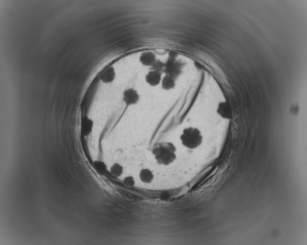 X0000097590804200803280926