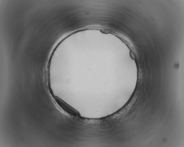 X0000097590808200803280926