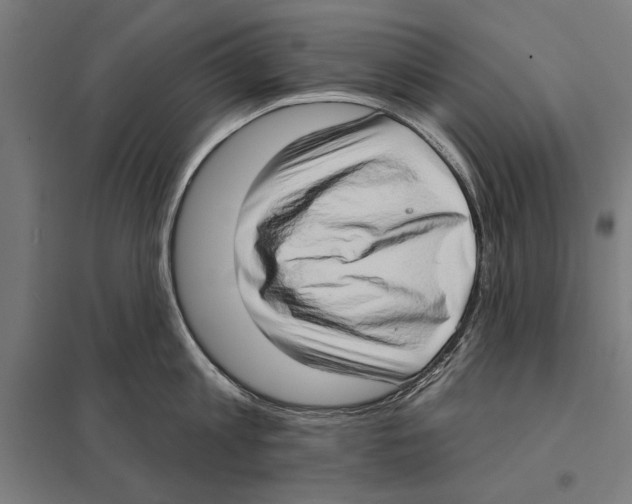 X0000097590813200803280926