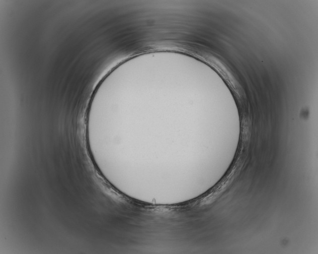 X0000097590814200803280926