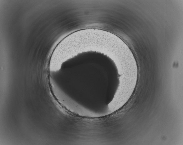 X0000097590816200803280926