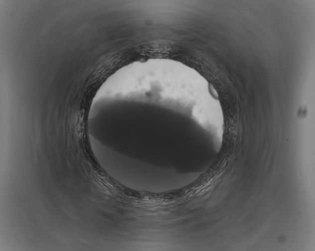 X0000097590818200803280925