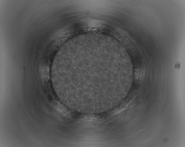 X0000097590820200803280925