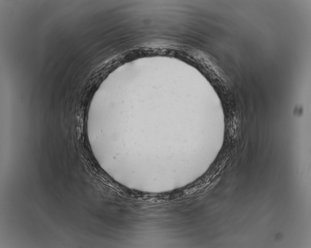 X0000097590821200803280925