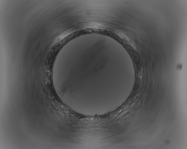 X0000097590822200803280925